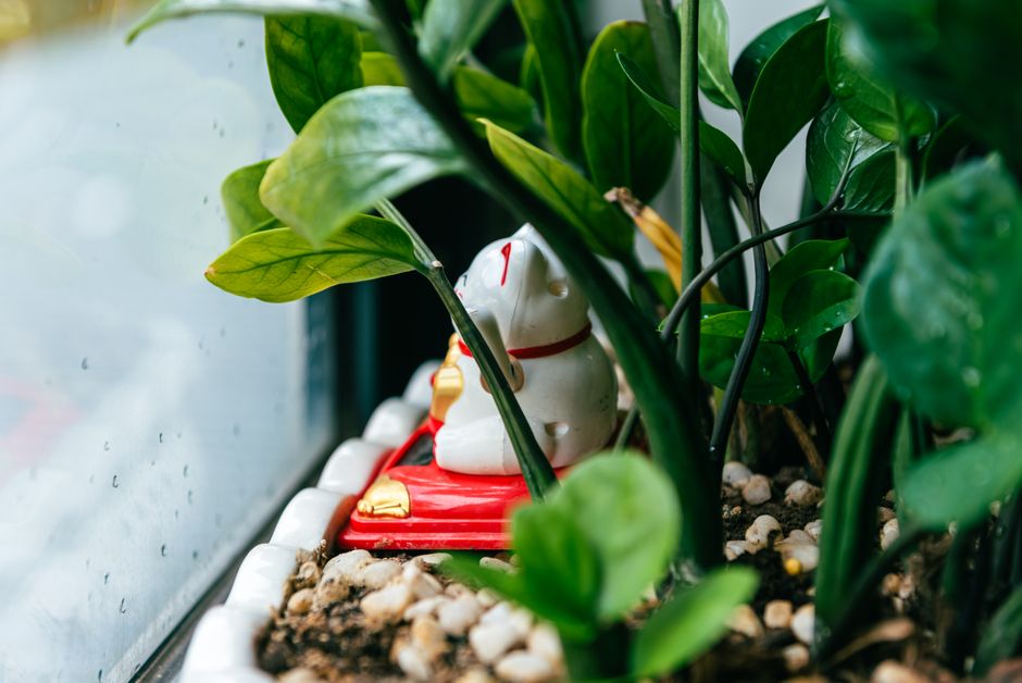 Vrouw verzorgt verticale tuin in woonkamer.